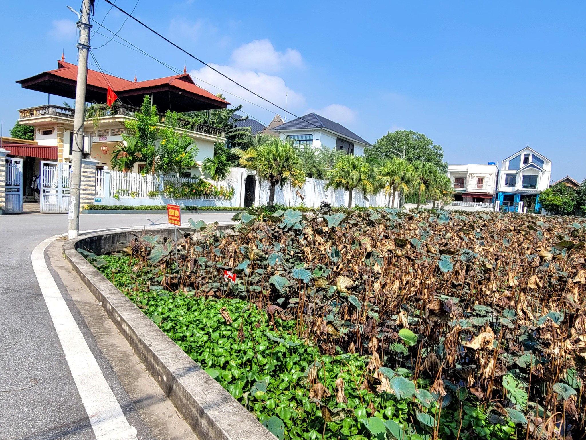 Bán lô góc View hồ mặt tiền bám đường hơn 20m tại Thắng Lợi Văn Giang - Ảnh 2